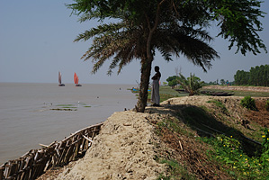 Leben im Sumpf - Reise in die Sunderbans