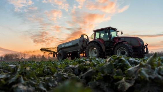 Landwirt fährt mit einem Güllefasss bei Sonnenaufgang über ein angefrohrenes Rapsfeld. (imago stock&people / Marius Schwarz)