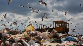 Eine Mülldeponie in der Nähe des Dorfes Sawolje in der Region Moskau (picture alliance / RIA Nowosti / Grigoryi Sobchenko)