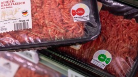 Köln, Packungen mit Rinderhackfleisch mit den Haltungskennzeichnungen der Stufe "Stallhaltung" und "Bio" liegen in einem Supermarkt des Lebensmitteldiscounter Penny im Kühlregal. Deutschlands Discounter informieren bei Fleischprodukten immer öfter über die Haltungsbedingungen der Tiere.  (dpa/Marius Becker)