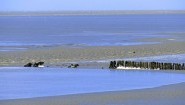 Eine alte Buhne an der Nordseeküste bei Niedrigwasser vor Cuxhaven in Niedersachsen. (Imago / blickwinkel)