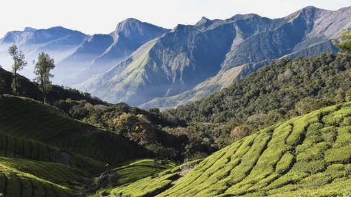 Western Ghats